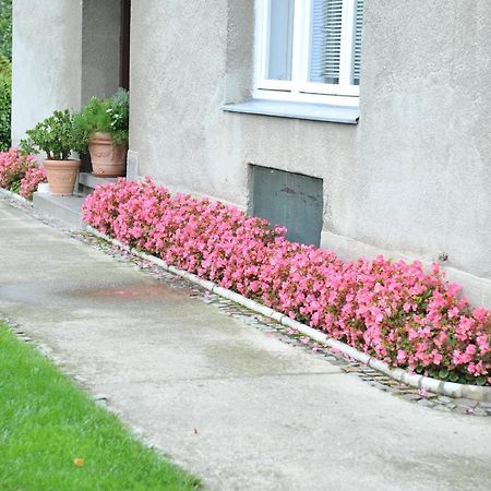 Studio apartman D&D Varazdin Bagian luar foto