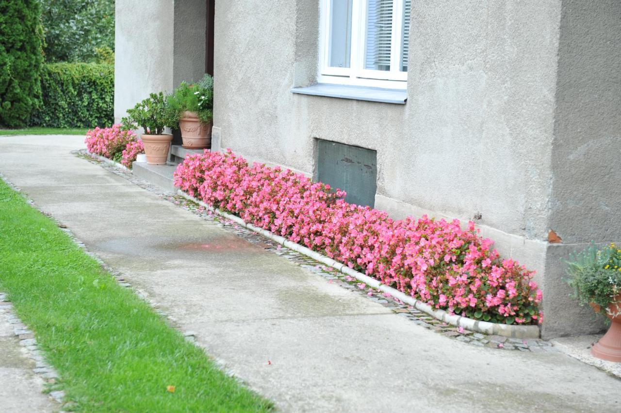 Studio apartman D&D Varazdin Bagian luar foto